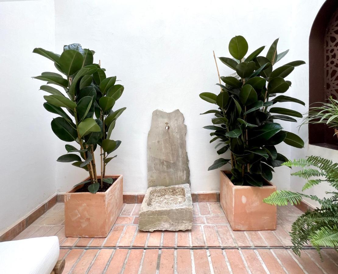 Arcos De Medina - Apartamentos Premium Κόρδοβα Εξωτερικό φωτογραφία
